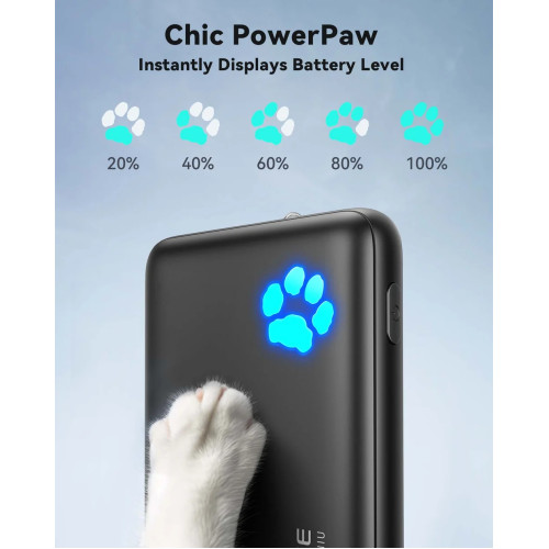 INIU Power Bank P41-E1 PowerPaw 10.000mAh