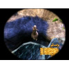 Madagascar: Escape 2 Africa
